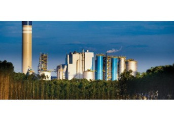 Suzano registra geração de caixa operacional recorde de R$ 22,6 bilhões em 2022