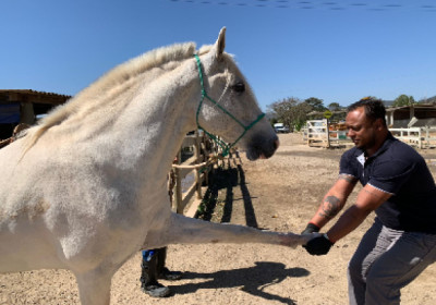 Uma ligação que resiste ao tempo. Em Minas Gerais, doma racional e o uso de técnicas milenares estão auxiliando na interação entre homens e cavalos