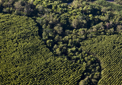 Projeto Extrativismo Sustentável realiza exposição de produtos e desfile de biojoias produzidas por comunidades extrativistas no Maranhão