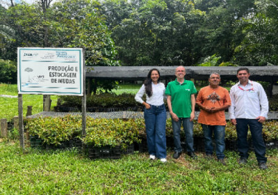 Suzano doa 500 mil mudas de eucalipto ao Cedagro/Incaper e amplia atuação ambiental no Espírito Santo