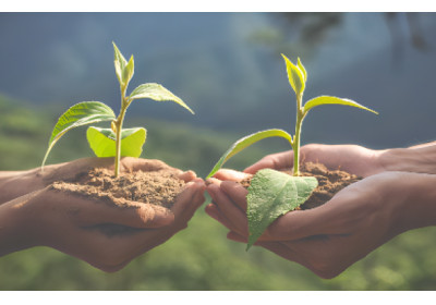 Seleção para gestor do fundo de descarbonização recebe 11 propostas