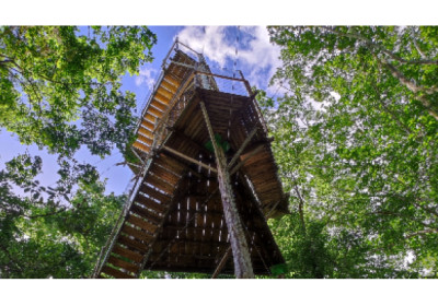 Parque Costeiro, Botânico e Reserva Natural Vale preparam programação especial de férias em julho