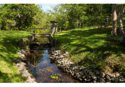 Iniciado em Aracruz há mais de três décadas, Projeto Microbacias impulsiona metas de água da Suzano