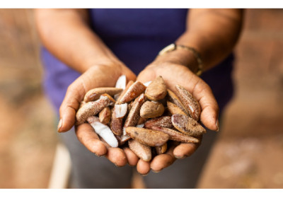 Suzano contribui para retirar mais de 140 mil pessoas da linha da pobreza em cinco anos em suas regiões de atuação