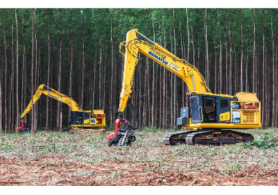 Suzano abre inscrições para formação remunerada de operadores de máquinas florestais trainee em Aracruz