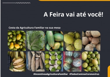 Suzano lança ação para fortalecer vendas da agricultura familiar de Aracruz em meio à pandemia do coronavírus