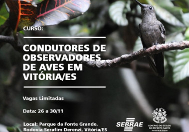 Setur e Sebrae: abertas as inscrições para o curso de Condutores de Observadores de Aves