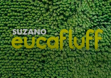 Certificação internacional atesta a excelência ambiental da celulose fluff da Suzano por meio do selo EU Ecolabel