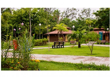 Choro e bossa em sintonia no Parque Botânico Vale nesta quinta, 26 de Janeiro