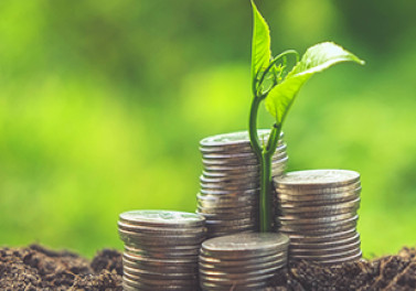 Fibria encerra 2016 com crescimento de vendas, forte lucro líquido e robusta posição de caixa