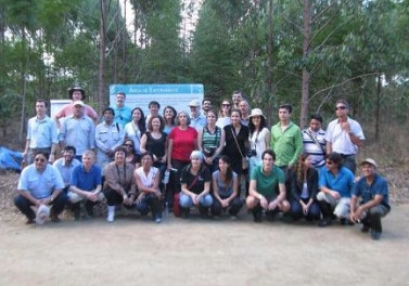 Representantes da Convenção sobre Diversidade Biológica da ONU conhecem experimento florestal realizado na Fibria