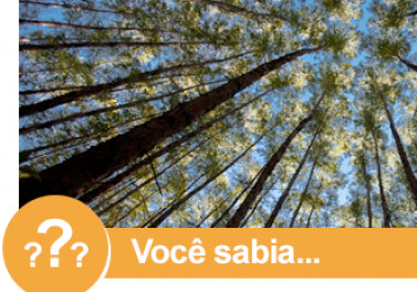 Você sabia que a indústria brasileira de base florestal aderiu às discussões relativas às metas do Acordo de Paris? 