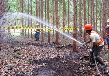Fibria intensifica trabalhos estratégicos de combate a incêndios florestais no Vale do Paraíba (SP)