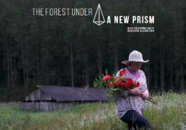 Fibria leva a Londres exposição fotográfica e vídeo em realidade virtual sobre florestas plantadas no Brasil