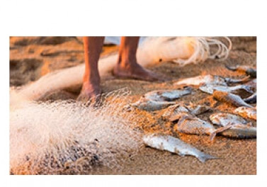 Fundação Renova fecha acordos para pagamento de indenização de pescadores