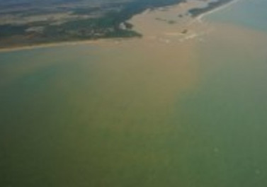 Biodiversidade da porção capixaba do Rio Doce será monitorada