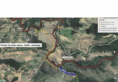 Mais de 600 crianças plantam árvores nativas em comemoração ao Dia do Meio Ambiente