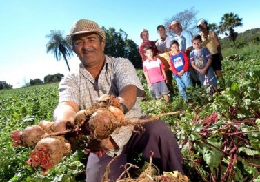 Gestão de empreendimentos da agricultura familiar impacta positivamente a vida no campo