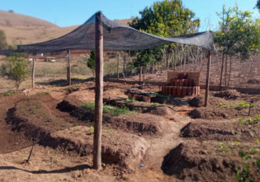 Implantação de hortas e pomares fortalecem a agricultura sustentável em municípios mineiros