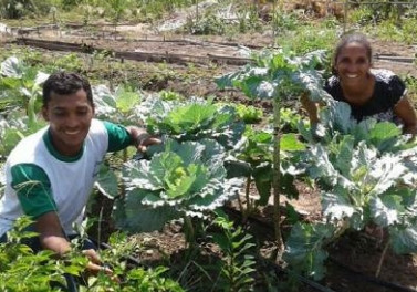 Pequenos produtores rurais recebem capacitação no interior do Maranhão