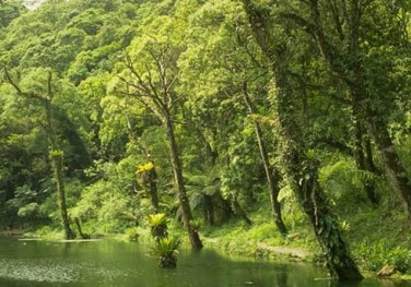Projeto do ES é selecionado em concurso de soluções para restaurar a bacia do rio Doce