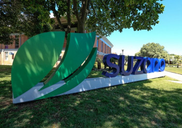 Suzano flexibiliza requisitos para estágio em busca de mais diversidade