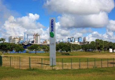 Suzano promove Semana da Celebração da Inteligência Negra