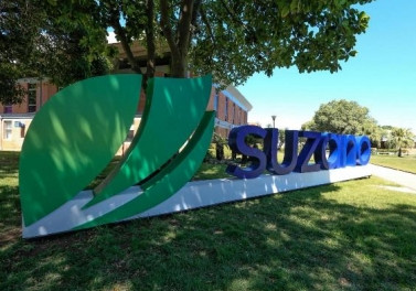 Suzano registra recorde de venda de celulose no primeiro trimestre de 2020