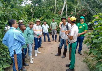 Agricultores familiares do Espírito Santo aprenderão novas práticas agroflorestais com apoio da Fibria