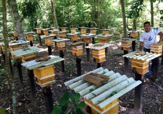 Aldeias indígenas de Aracruz produzem mel de abelhas nativas