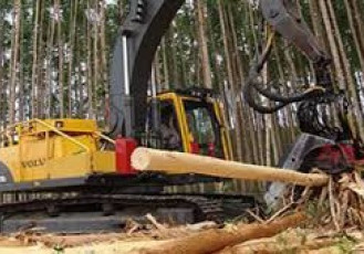 Curso de Operador de Máquina Florestal oferece 40 vagas em São Mateus