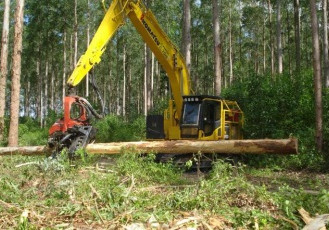 Fibria recebe Prêmio Fetransportes de Qualidade do Ar