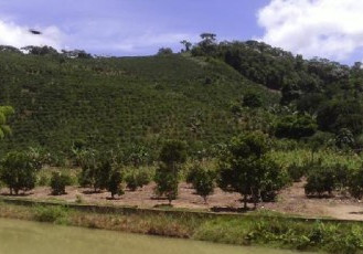 Projeto ambiental vai restaurar e reflorestar região na Área de Preservação Permanente em Alto Paraju