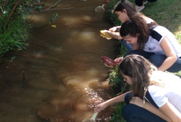 7º Prêmio Gerdau Germinar abre inscrições para projetos de educação ambiental inovadores