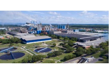 Áreas doadas pela Suzano beneficiam a população de 14 municípios do norte do ES