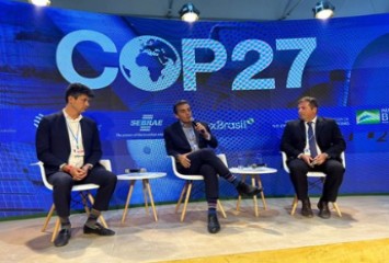 Petrobras e BNDES lançam edital para apoiar recuperação de manguezais e restingas no litoral brasileiro