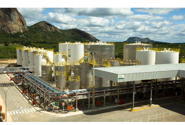 Petrobras Biocombustível obtém certificação para duas usinas de biodiesel