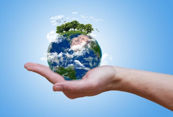 Petrobras intensifica a elaboração de Planos de Ação em Biodiversidade para suas unidades