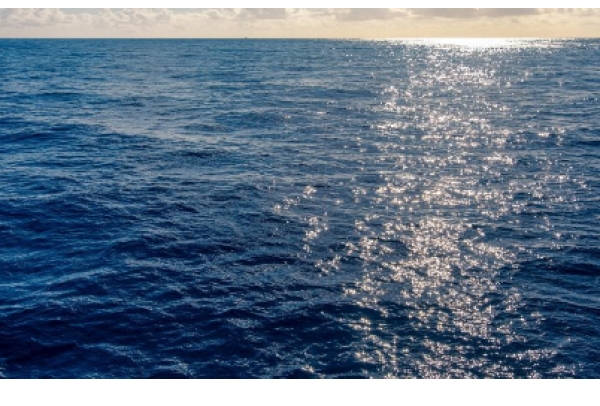 Entenda o que é a Margem Equatorial Brasileira e do que se trata o licenciamento solicitado ao Ibama