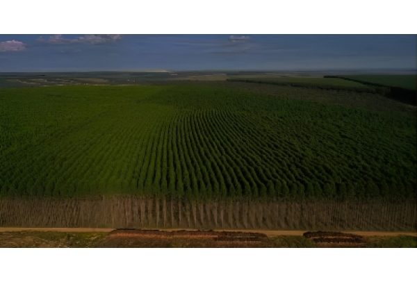 Gerdau incentiva fornecedores a avançar na gestão de emissões de gases de efeito estufa