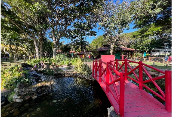 Férias no Parque Botânico Vale é gratuita e tem atividades para toda a família em Vitória