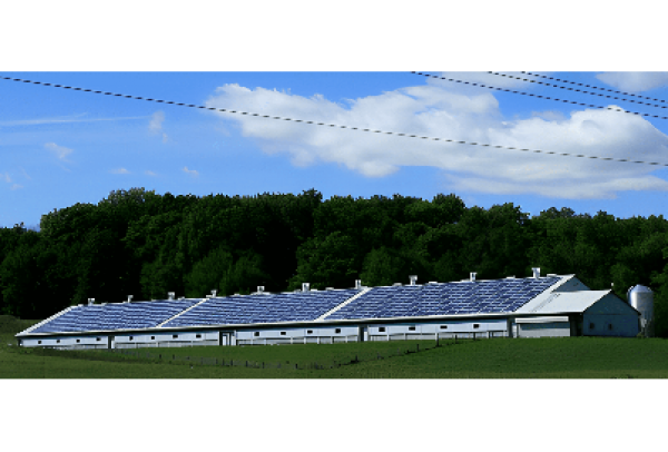 O futuro chegou: crédito Bandes de baixo carbono apoia de aquecedores solares a veículos elétricos para empresas