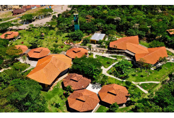 Abertas as inscrições para o concurso de fotos de aves no Espírito Santo