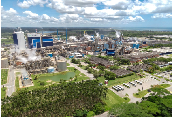 Suzano celebra centenário com a intenção de investir US$ 100 milhões em Pesquisa e Educação para a Sustentabilidade