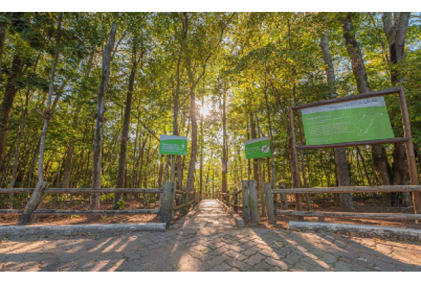 Parque Botânico Vale terá programação alinhada com objetivos da OMS no Dia Mundial da Saúde