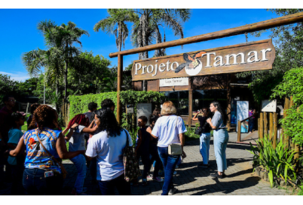 Rota da Tartaruga, iniciativa da ArcelorMittal Tubarão, abre inscrições para 2025