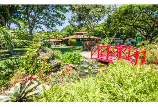 Parque Botânico Vale e Parque Costeiro oferecem programação especial de férias em Vitória