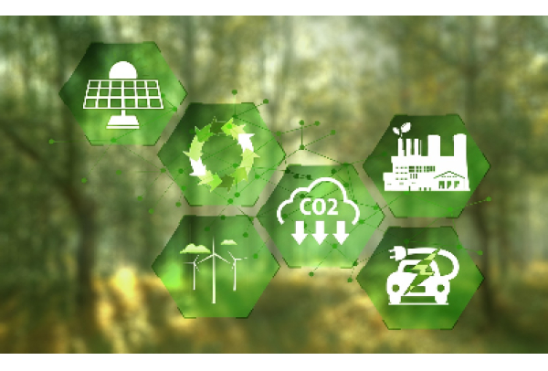 ES pode se tornar referência nacional em captura de carbono