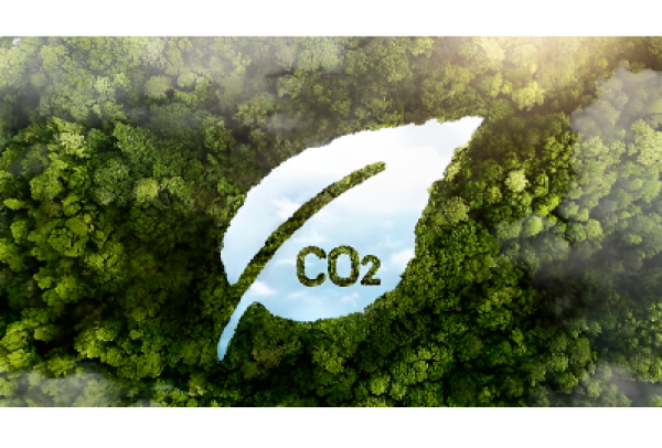 Fundo de Descarbonização: Últimos dias para envio de propostas de candidatas à gestora