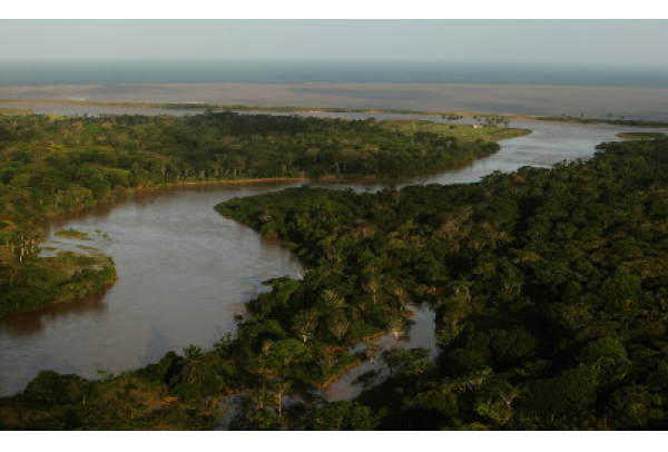 Espírito Santo ganha área de proteção ambiental na foz do Rio Doce